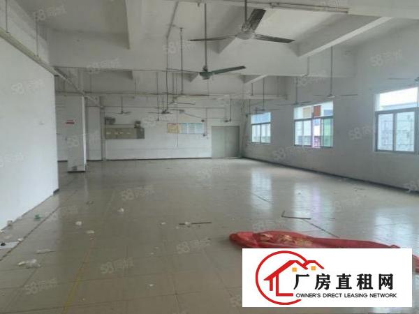  东莞市塘厦镇振兴围新出原房东独门独院空地超大九成新厂房