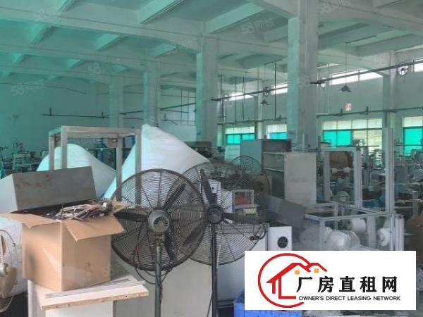  东莞市塘厦镇振兴围新出原房东独门独院空地超大九成新厂房