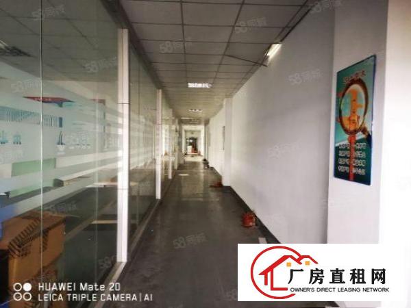  塘厦蛟乙塘新出3600平独院标准厂房，原房东直租，拎包入驻。