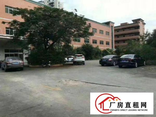  塘厦大坪独院厂房6500平出租，高6米，近深圳