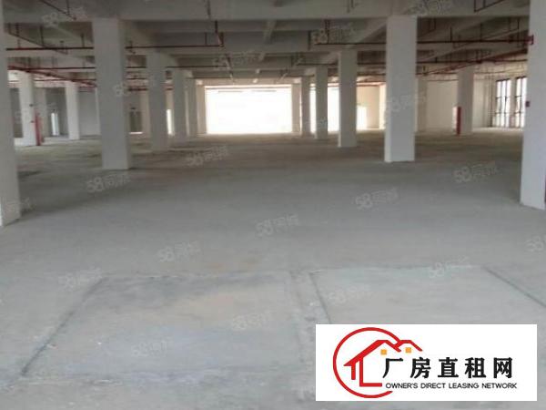  塘厦大坪独院厂房6500平出租，高6米，近深圳