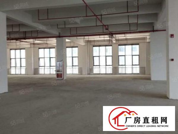  塘厦大坪独院厂房6500平出租，高6米，近深圳