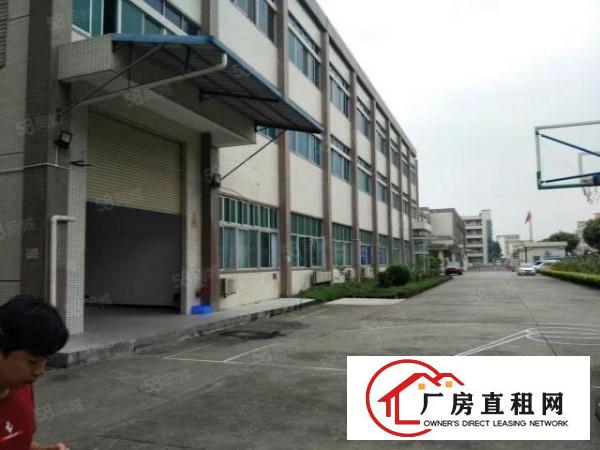  塘厦石马原房东小独院6000平方！形象靓丽！带红本