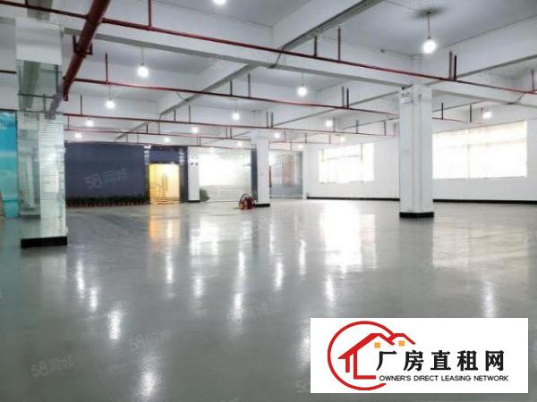 塘厦石马原房东小独院6000平方！形象靓丽！带红本