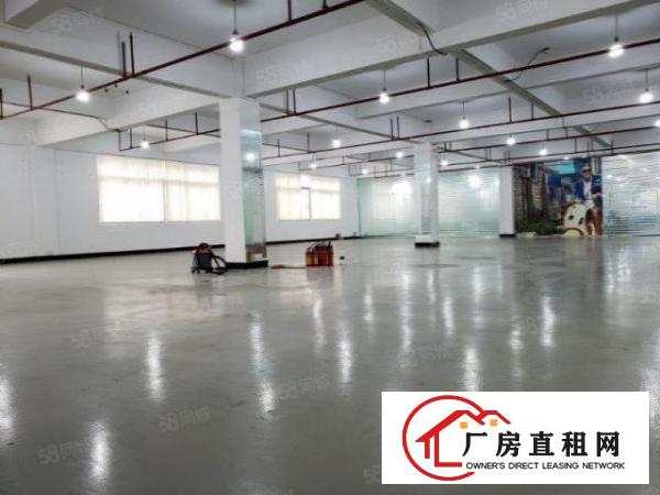  塘厦石马原房东小独院6000平方！形象靓丽！带红本