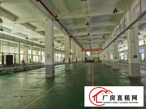  塘厦大坪高速出口一楼6.5米高带办公室装修2000平空地大