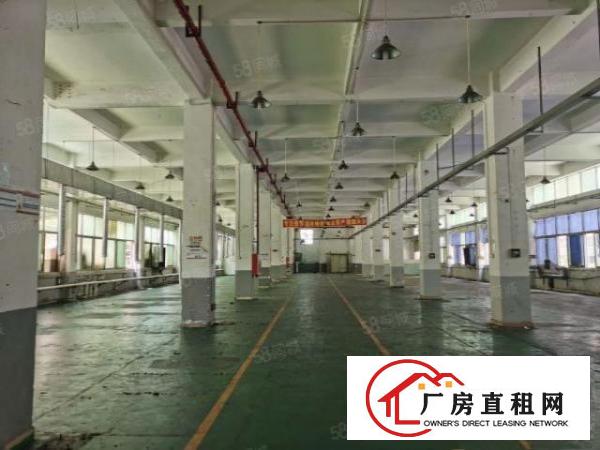  塘厦大坪高速出口一楼6.5米高带办公室装修2000平空地大