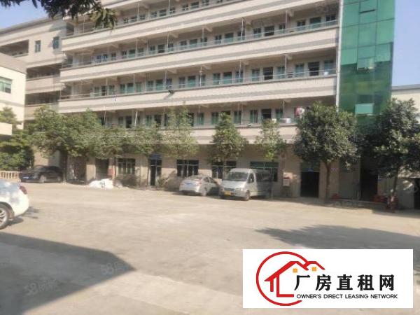  塘厦龙背岭小独院6500平方！形象好！四黎中路直达！交通方便