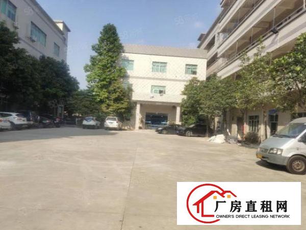  塘厦龙背岭小独院6500平方！形象好！四黎中路直达！交通方便