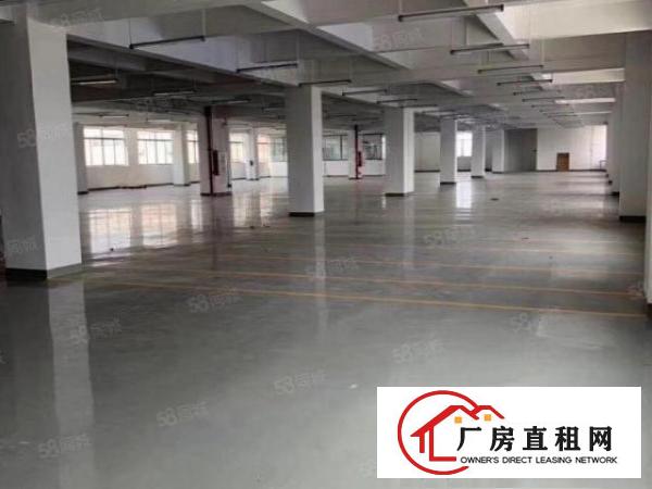  塘厦龙背岭小独院6500平方！形象好！四黎中路直达！交通方便