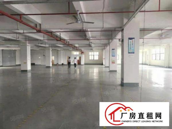  塘厦龙背岭小独院6500平方！形象好！四黎中路直达！交通方便