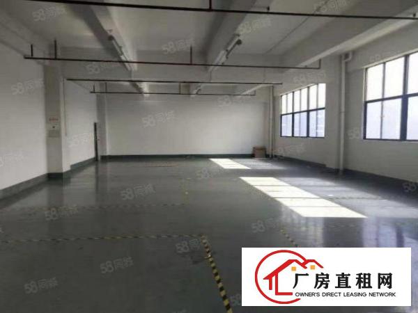  塘厦龙背岭小独院6500平方！形象好！四黎中路直达！交通方便