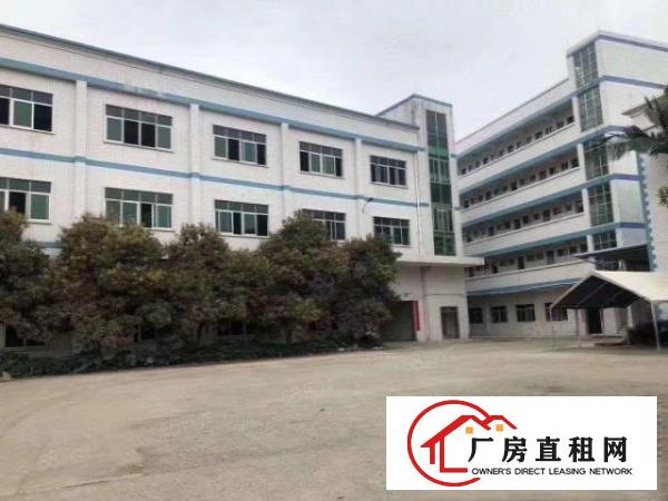  塘厦横塘独院6800平方！带红本！形象靓丽！上市公司