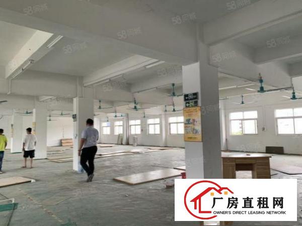  凤岗雁田南山工业园区3万平方独院整栋厂房出租空地出租无尘车间