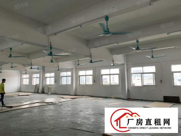  凤岗雁田南山工业园区3万平方独院整栋厂房出租空地出租无尘车间