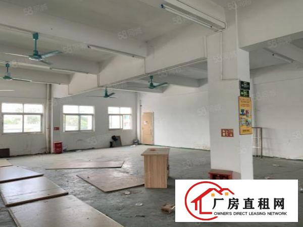  凤岗雁田南山工业园区3万平方独院整栋厂房出租空地出租无尘车间