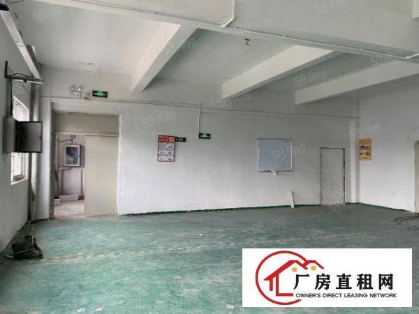  凤岗雁田南山工业园区3万平方独院整栋厂房出租空地出租无尘车间