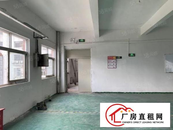  凤岗雁田南山工业园区3万平方独院整栋厂房出租空地出租无尘车间