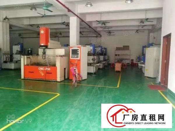  塘厦桥陇独院标准1楼580平方！现成隔楼办公室装修