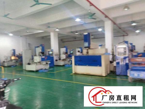  塘厦桥陇独院标准1楼580平方！现成隔楼办公室装修