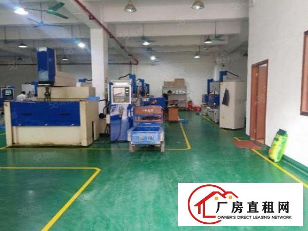  塘厦桥陇独院标准1楼580平方！现成隔楼办公室装修
