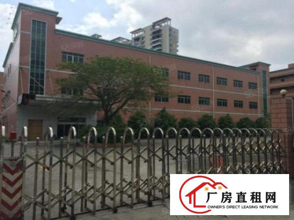  塘厦桥陇独院标准1楼580平方！现成隔楼办公室装修