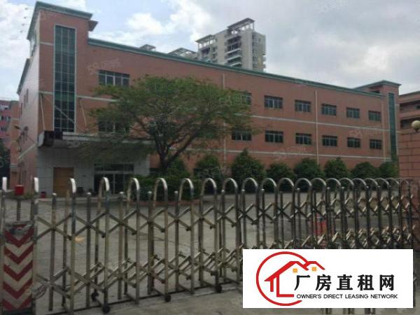 塘厦桥陇独院标准1楼580平方！现成隔楼办公室装修
