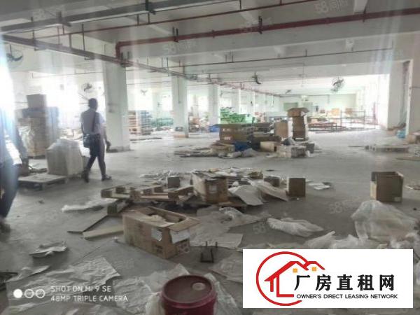  塘厦原房东独院厂房10000平方，空地3000平方，交通便利