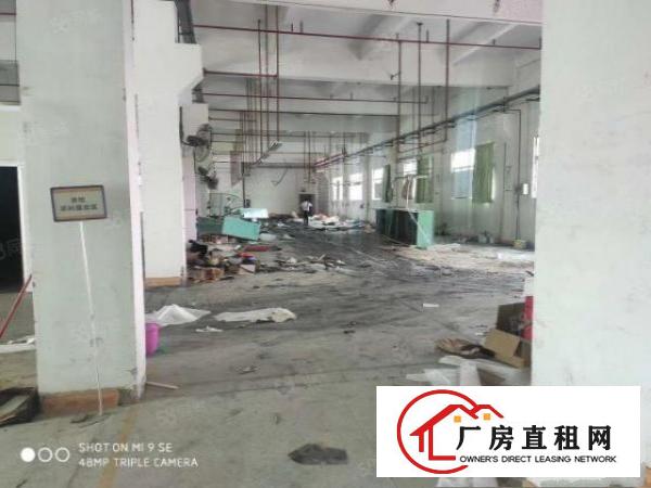  塘厦原房东独院厂房10000平方，空地3000平方，交通便利