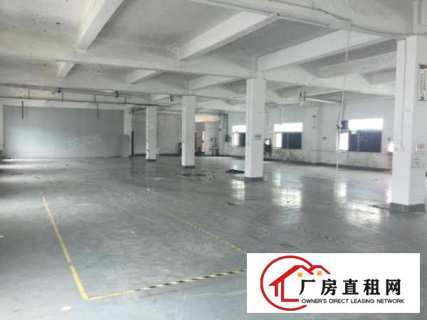  塘厦138工业区小独院3500平方！花园式形象好