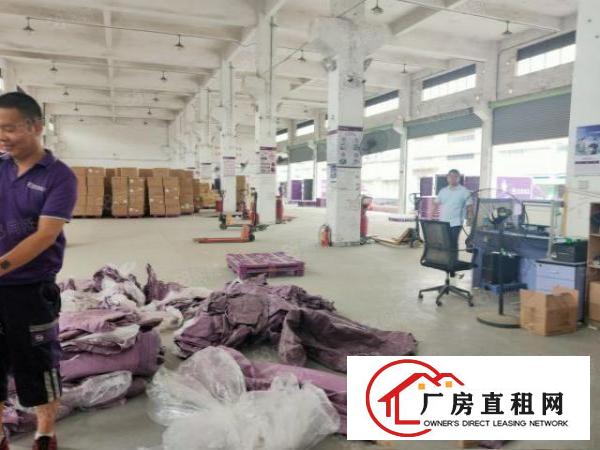  塘厦沙湖砖墙到顶钢构出租2400平方，高度9米有卸货平台