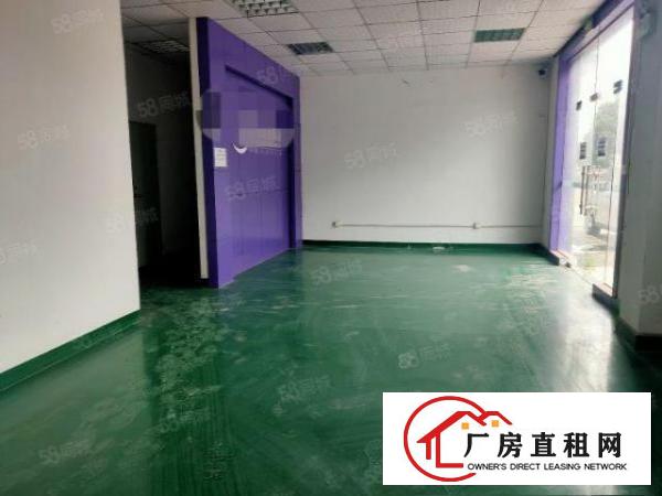  塘厦沙湖砖墙到顶钢构出租2400平方，高度9米有卸货平台