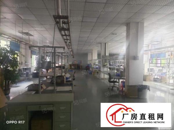  拎包入住无转让费塘厦镇清湖头新二楼1200平米厂房出租