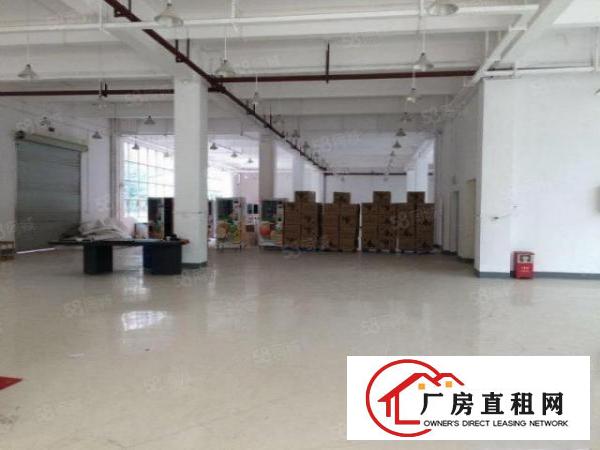  塘厦沙湖独院10000平方！带红本，形象好！上市公司