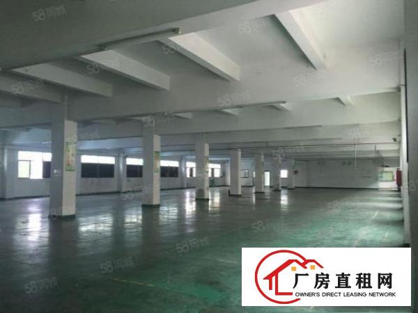  塘厦振兴围独院3000平米，地理位置优越，水电齐全