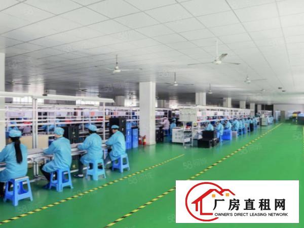  塘厦石鼓新出原房东一至三层独院3600平厂房可整租分租