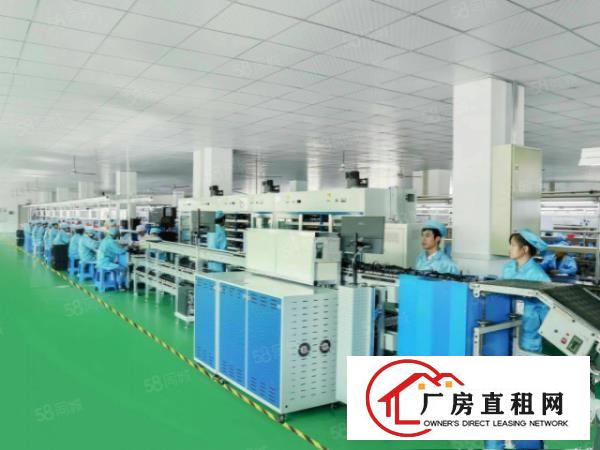  塘厦石鼓新出原房东一至三层独院3600平厂房可整租分租