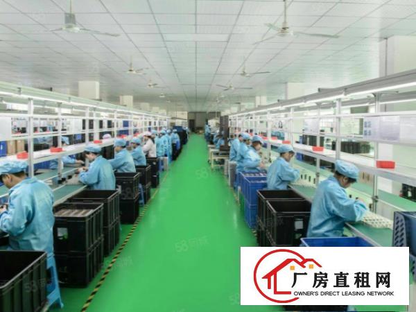  塘厦石鼓新出原房东一至三层独院3600平厂房可整租分租