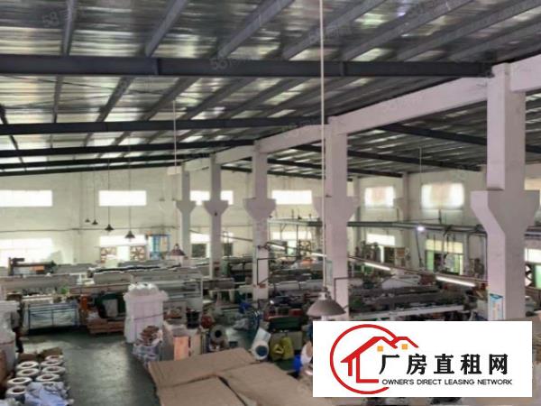  大坪新出独院2380平钢构厂房，现成牛角滴水8米，原房东