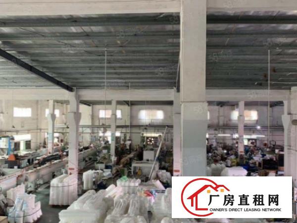  大坪新出独院2380平钢构厂房，现成牛角滴水8米，原房东