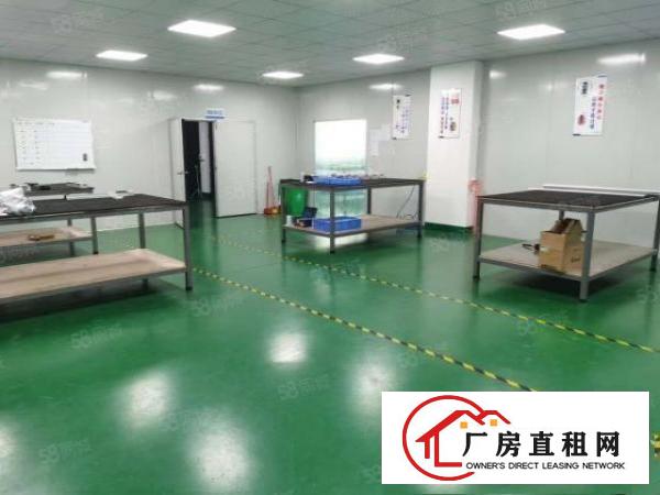  塘厦刚刚空出原房东1375平方一楼厂房出租仓库出租全新地坪漆