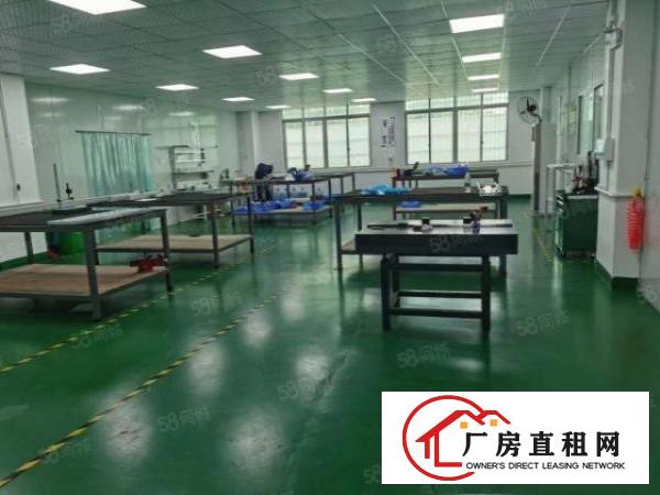  塘厦刚刚空出原房东1375平方一楼厂房出租仓库出租全新地坪漆