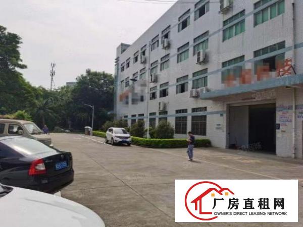  塘厦刚刚空出原房东1375平方一楼厂房出租仓库出租全新地坪漆