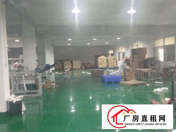  塘厦田心工业区标准2楼1500平方！现场实拍图片!精装修