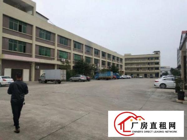 塘厦田心工业区标准2楼1500平方！现场实拍图片!精装修