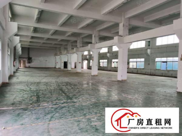  塘厦四村刚空出5000平标准独院厂房，原房东直租拎包生产