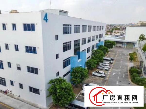  塘厦田心工业园里4楼800平厂房出租，有地坪漆装修，办公室等