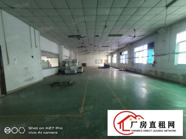  塘厦振兴围新出3楼800平带现成办公室水电齐全可拎包入住火抢