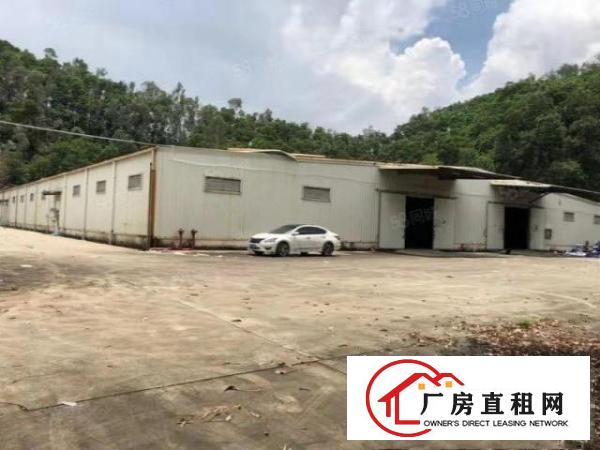  塘厦石马靠山边可做污染行业的单一层厂房300平起租