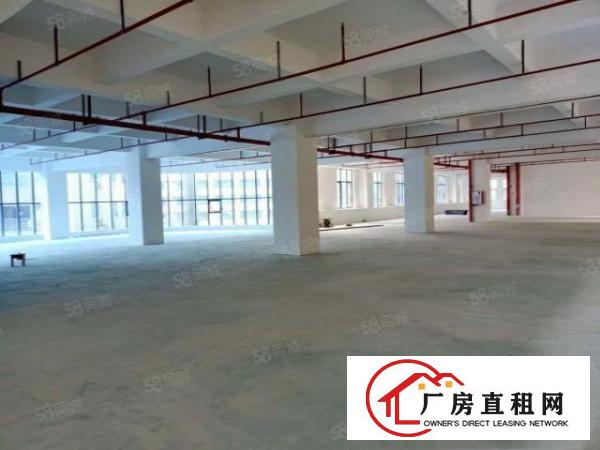  塘厦石马全新厂房每层1500平方！消防合格！免租期长